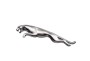 Jaguar chiptuning